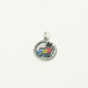 Medaglia del Giubileo