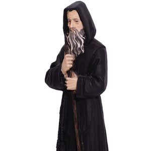 Particolare Statua in resina e marmo di San Francesco di Paola - Galleria Mariana