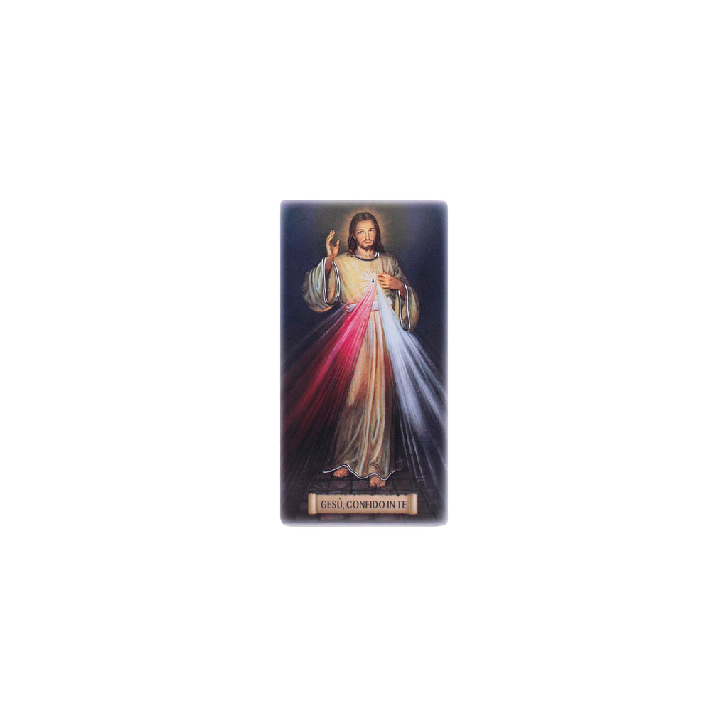Icona di Gesù Misericordioso - Galleria Mariana