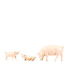 FAMIGLIA DI MAIALI PER PRESEPI FONTANINI 19 CM Nuova Galleria Mariana s.r.l